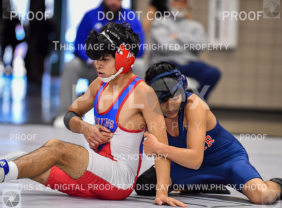 MG1_0008