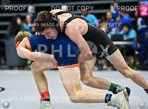 DLS_8981