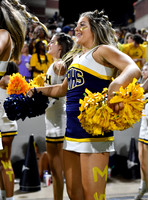 FDS_0948