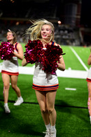 TOM_3446