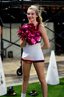 TOM_2197