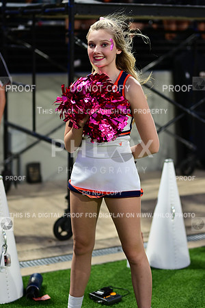 TOM_2197
