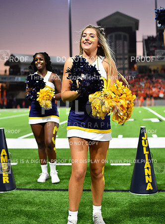 FDS_8593