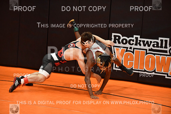 RAY_0051