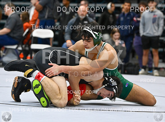 DLS_2032