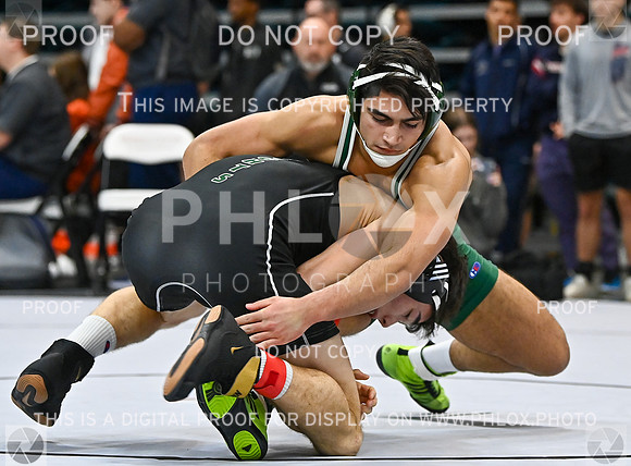 DLS_2031