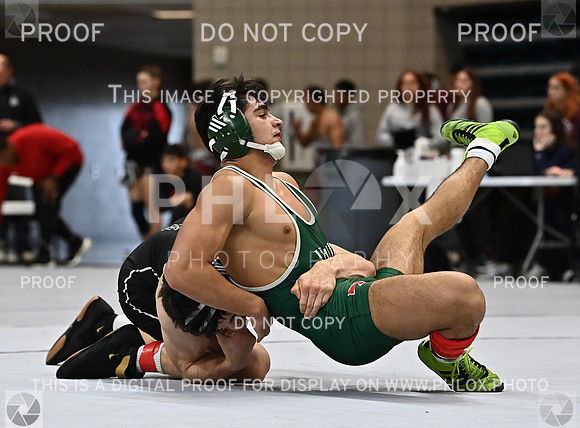 DLS_2110