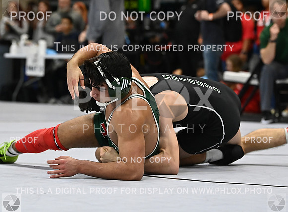 DLS_2098