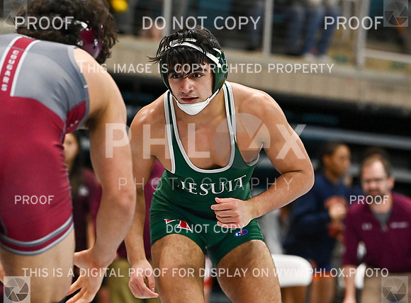DLS_3810