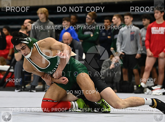 DLS_2094