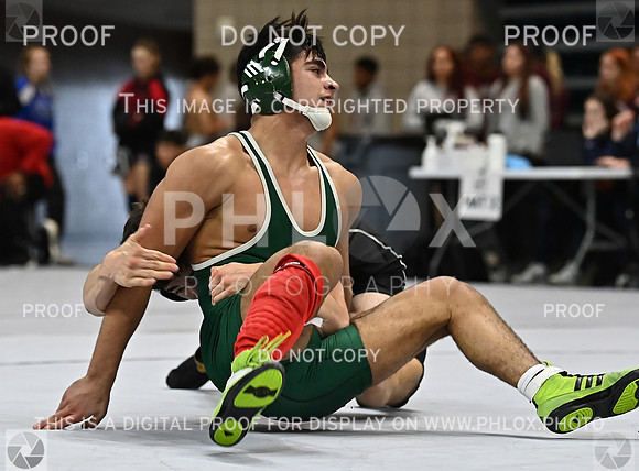 DLS_2111