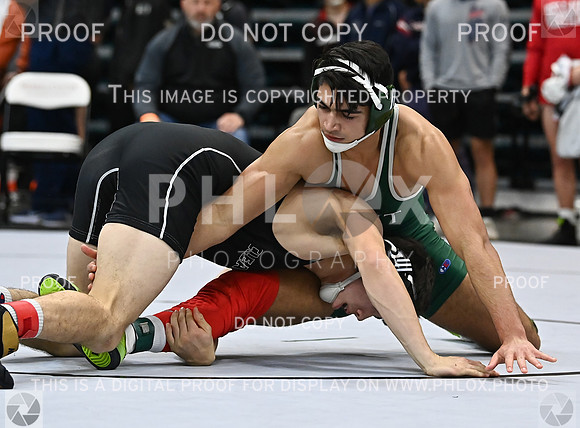 DLS_2036