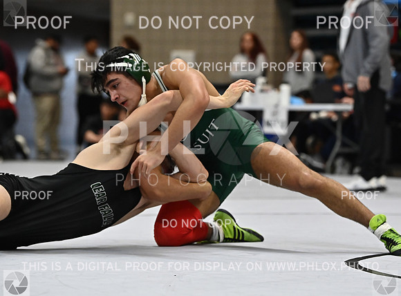 DLS_2124