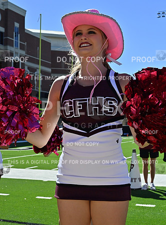 DLS_3923