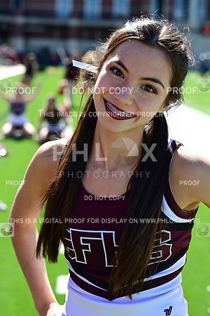 TOM_4919