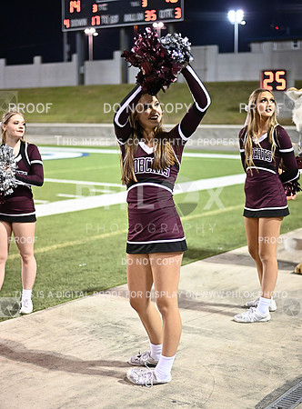 DLS_1531