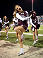 DLS_0052