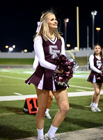 DLS_0140