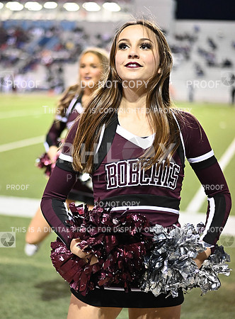 DLS_1406