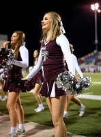 DLS_0532