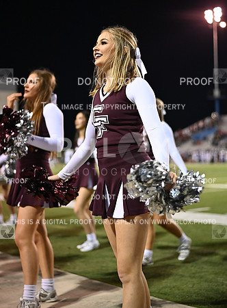 DLS_0532