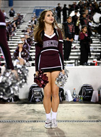 DLS_1343