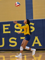 11 Morgan Reedus Cy Ranch Volleyball 10-12