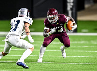 DLS_1527