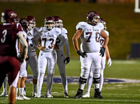 DLS_4007