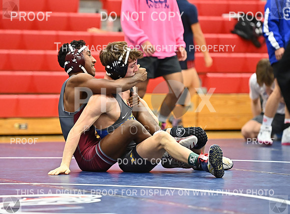 DLS_0121