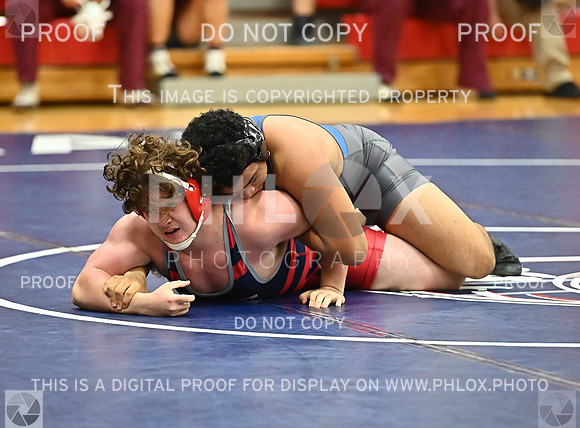 DLS_0062