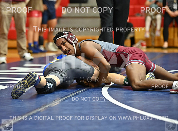 DLS_0153