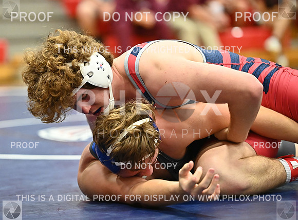 DLS_0044