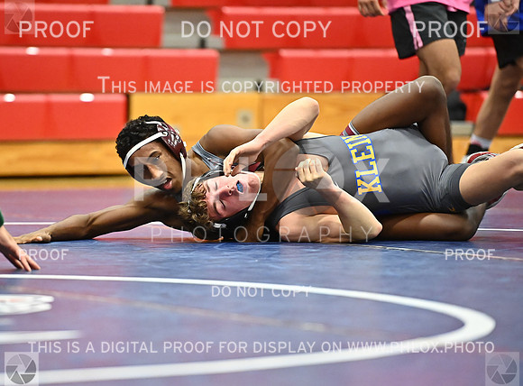 DLS_0137