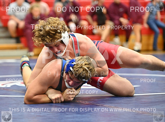 DLS_0029