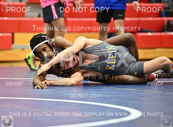 DLS_0134