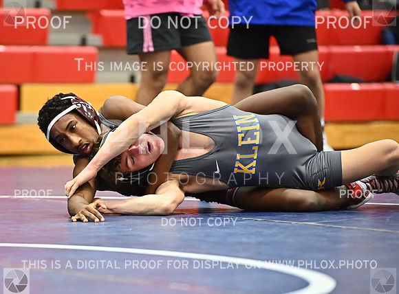 DLS_0136