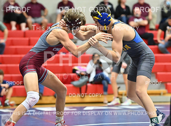 DLS_0077