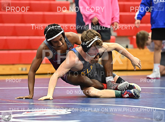 DLS_0120