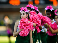 Cheer Haleigh McNinch Cy Falls 10-9