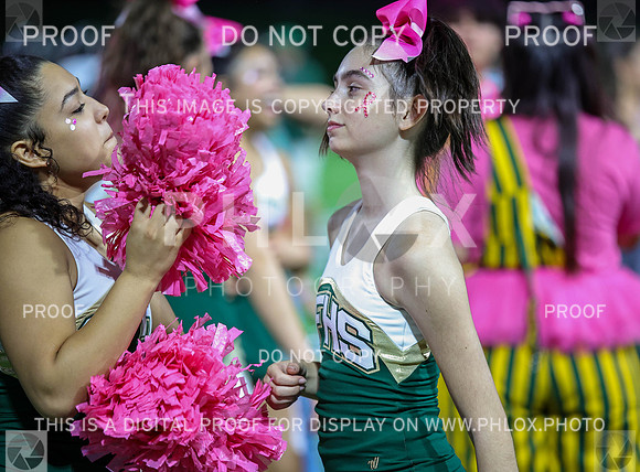 DDN_2399