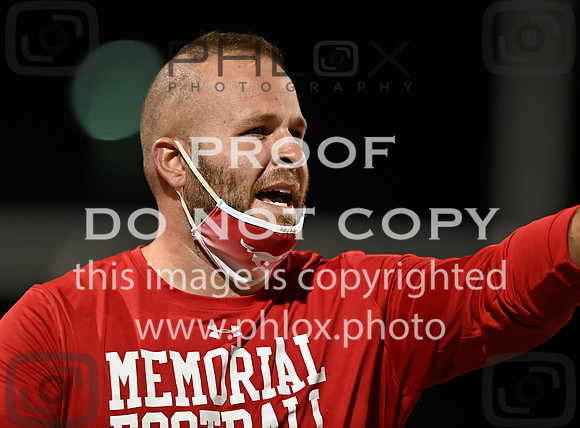 DLS_6604