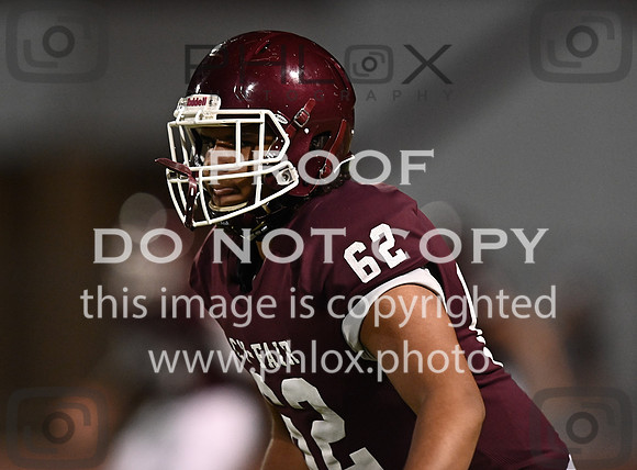 DLS_6578