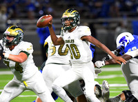 Nov 10 - Cy Falls @ Cy Creek