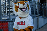 Football & Cheer @ Burleson