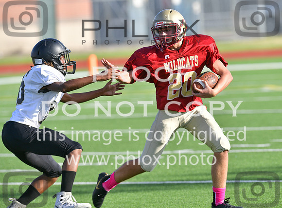 TOM_7317