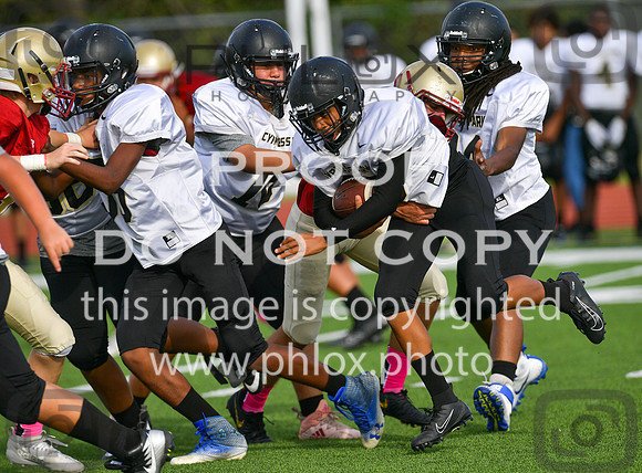 TOM_7029