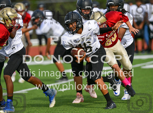 TOM_7031