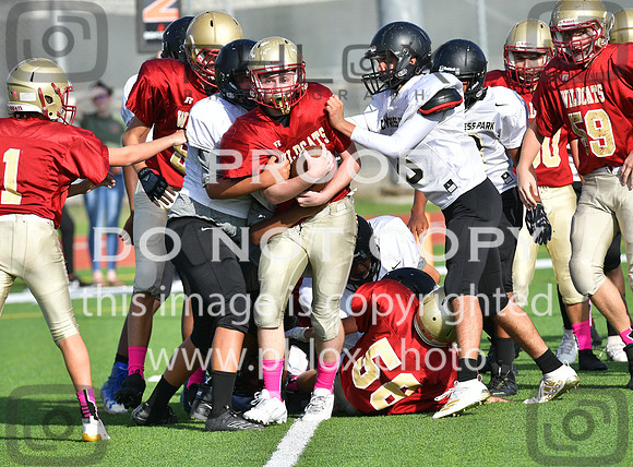 TOM_7151