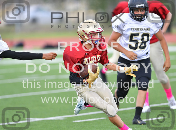 TOM_6973